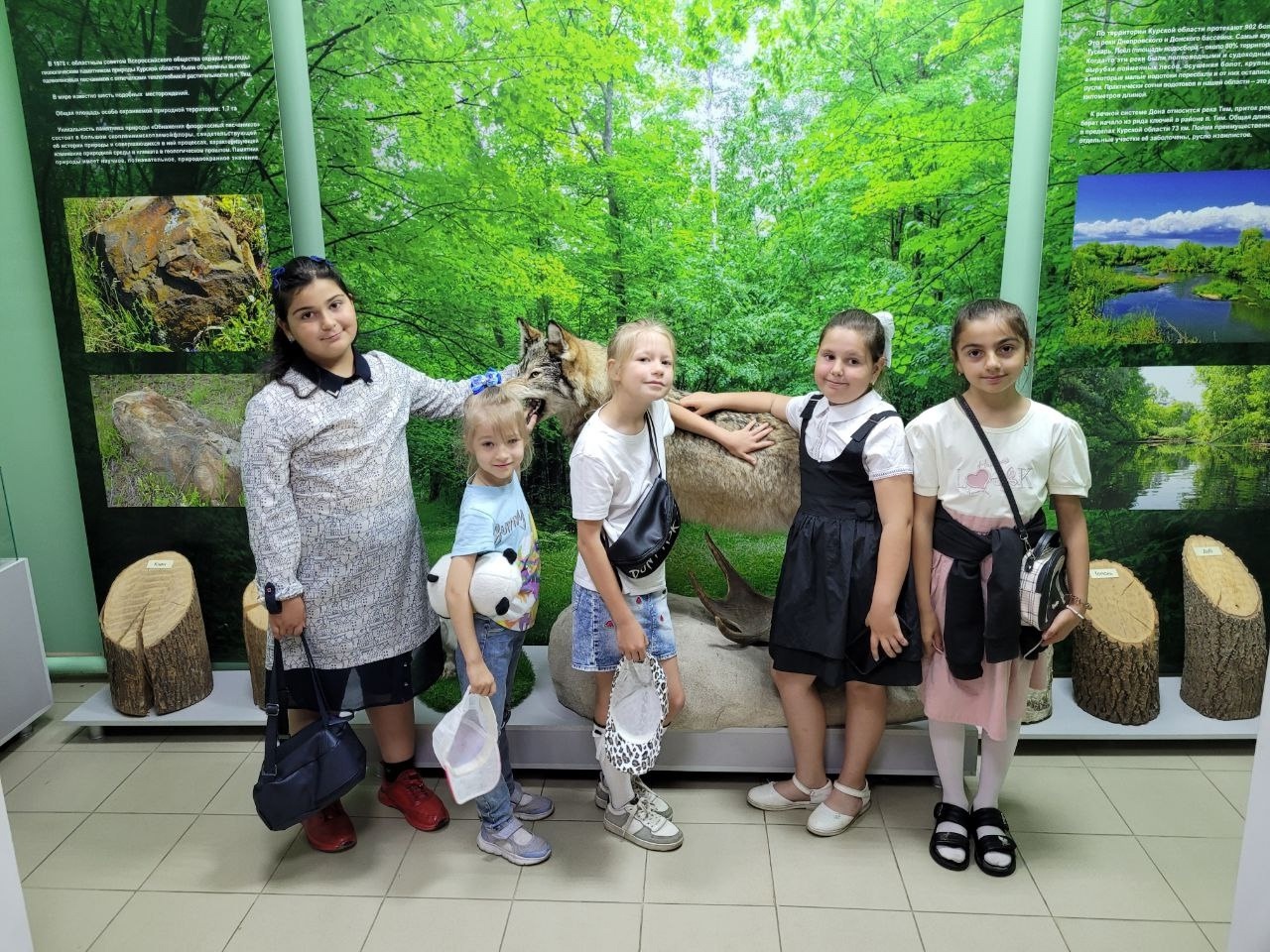 Экскурсия в Тимский краеведческий музей.